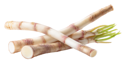 White celery stalks bunched together fresh celery bunch displays healthy green white stalks