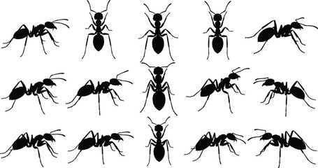“Collection of detailed black ant silhouettes in multiple poses, showcasing crawling and standing insects for nature, biology, pest control, and educational vector design use.”
