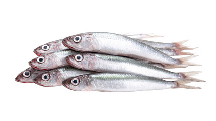 Three fish with distinct eyes swim together these aquatic creatures are depicted with unique ocular features