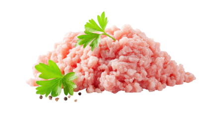 Fresh raw pork cuts arranged with parise uncooked pork displayed ready for culinary preparation