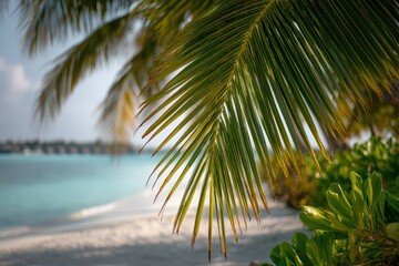 Fototapeta premium Lush palm leaf with blue-green water and distant palm trees on a Maldivian coast
