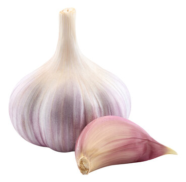 Garlic cloves isolated on transparent background. Garlic PNG. Garlic full macro. No AI