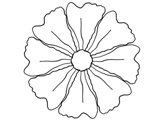 outline spring flower bouquet