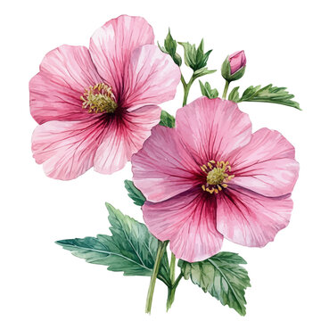 watercolor of Eglantine Flower, vector, isolated on a white background.