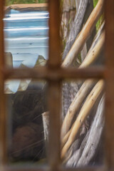 Some objects reflecting on the wooden window of a farmhouse, in the eastern Andean mountains of central Colombia, near the Iguaque natural reserve.