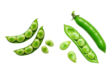 Fresh broad beans or fava beans, both open and closed, showcasing the vibrant green pods and plump beans isolated on transparent background for culinary design