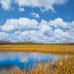 small calm lake among dry autumn prairie under a blue cloudy sky, seasonal outdoor landscape