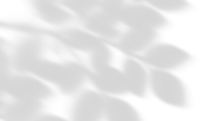 Semitransparent grey shadow overlay with keyhole cutout