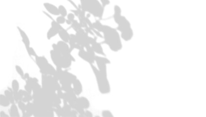 Abstract semitransparent shadow overlay