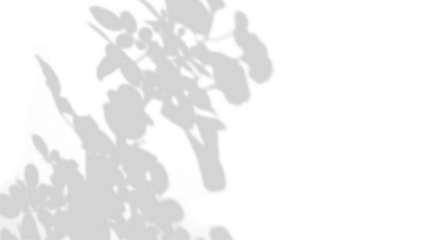 Abstract semitransparent shadow overlay