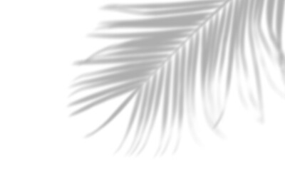 Semitransparent abstract shadow overlay