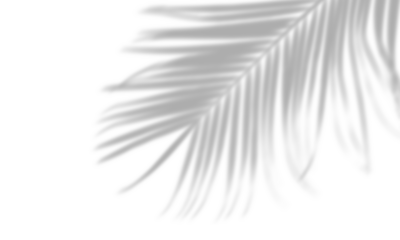 Semitransparent abstract shadow overlay