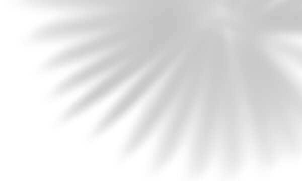 Semitransparent wavy grey shadow overlay