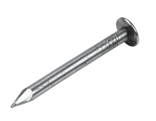Single metal construction nail with sharp point and flat head lying at an angle on isolated background