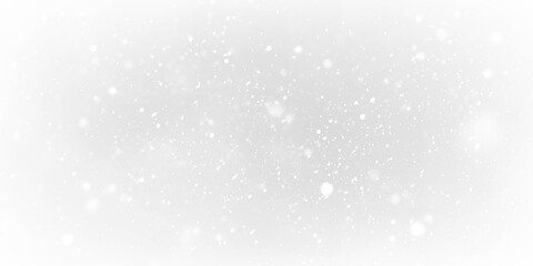 Soft snowflakes quietly falling on a transparent background during winter, creating a peaceful atmosphere in the cold