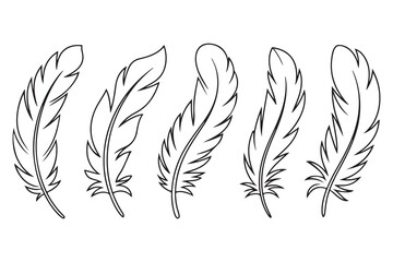 Obraz premium Minimal feather collection single line art illustration on white background 