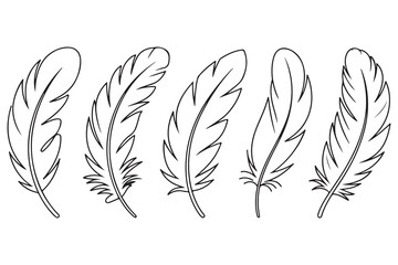 Obraz premium Minimal feather collection single line art illustration on white background 