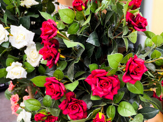 Garden centre worcestershire england uk