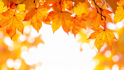 Obraz premium Autumn Leaves Background