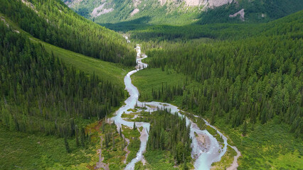 The Shavla River in the Altai Mountains in summer, as seen from a drone