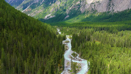 The Shavla River in the Altai Mountains in summer, as seen from a drone