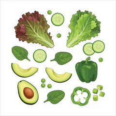 Fresh Green Vegetables and Salad Ingredients