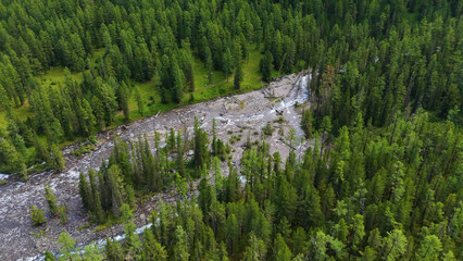 The Shavla River in the Altai Mountains in summer, as seen from a drone