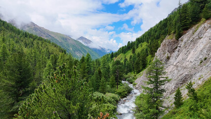 The Shavla River in the Altai Mountains in summer, as seen from a drone