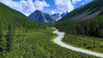 The Shavla River in the Altai Mountains in summer, as seen from a drone
