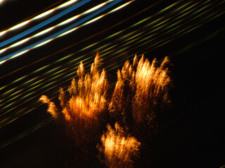 Fireworks San Gionavi 2012