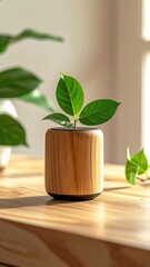 Small plant in a pot on wood table, natural light