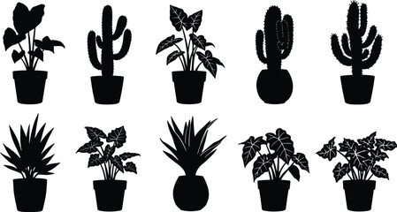 Black potted plant silhouette, cactus vector, indoor foliage outline, decorative leaves, botanical illustration, houseplant design, isolated shapes, nature art © Masud World