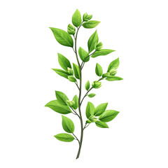 Fototapeta premium Lush green branch displays vibrant leaves and flower buds on transparent background