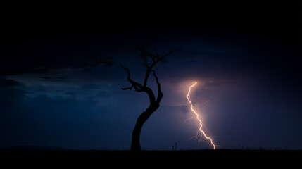 bent. A lone gnarled tree silhouetted against a stormy sky with lightning. travel magazines, destination branding, designed for outdoor magazines and nature guides and travel destination branding.