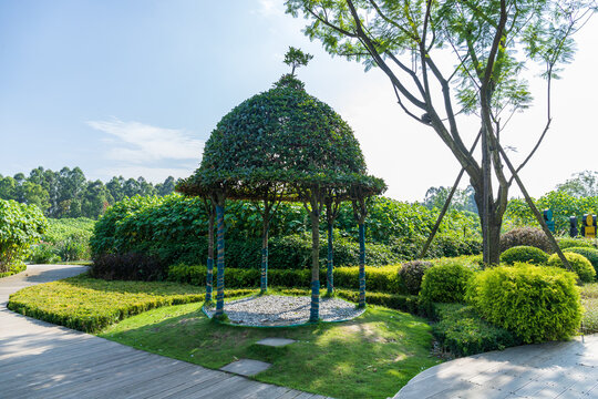 The vine buildings in the park