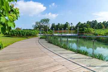 The ecological and green scenery of Tianfu Lotus Garden in Chengdu