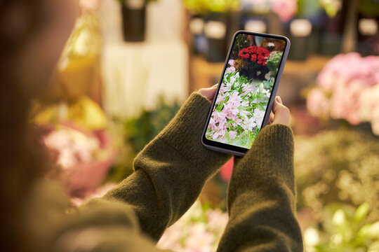 Young adult Caucasian woman holding smartphone photographing blooming flowers in floral shop, capturing close up image of pink and blossoms surrounded by vibrant arrangements