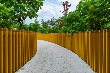 The paths in the park