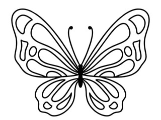 butterfly vector illustration