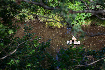 Fototapete bei efototapeten.de bestellen   