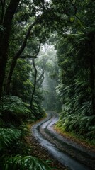 Fototapeta premium High quality photo of winding path through a lush, misty green forest on a rainy day