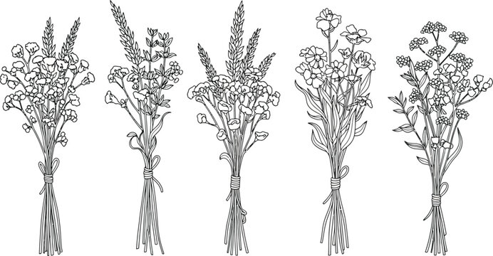 A collection of delicate hand drawn floral bouquets in a linear style
