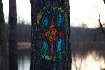 Painted Symbol on Pine Bark