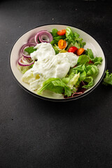 Burrata salad tomato, purple onion, green leaf lettuce tasty snack fresh gourmet food table setting rustic food top view copy space keto and paleo diet vegetarian food