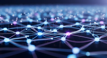 Network connectivity and data flow