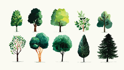 Fototapeta premium Diverse Tree Collection with Green Leaves - Nature's Beauty Captured in One Image