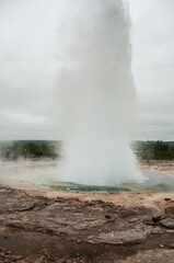 The powerful Stokkur Geyser in Iceland
