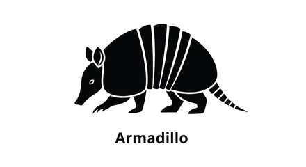 A simple black and white illustration depicts a side view of an armadillo