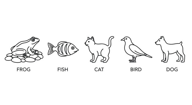 A simple line drawing depicts a frog fish cat bird and dog