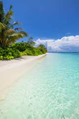 Majestic tropical island beach landscape sunny soft white sand lush palm trees. Pristine blue sea, perfect luxury travel vacation destination. Popular Maldives nature template summer holiday backdrop